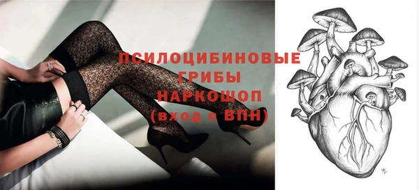 сатива Бронницы