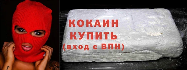 сатива Бронницы