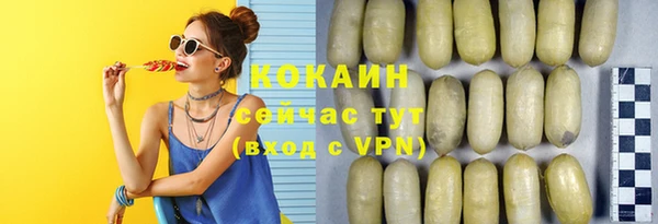 сатива Бронницы
