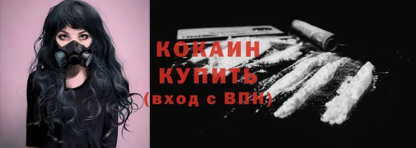 сатива Бронницы