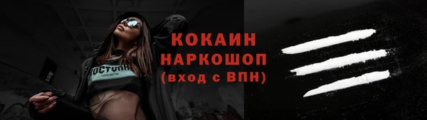 сатива Бронницы