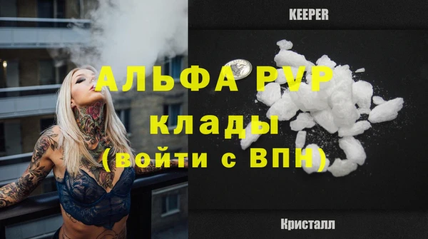 сатива Бронницы