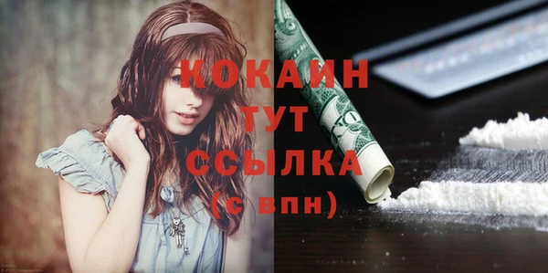 сатива Бронницы