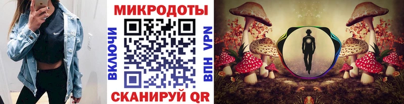 продажа наркотиков  Новосокольники  Псилоцибиновые грибы прущие грибы 